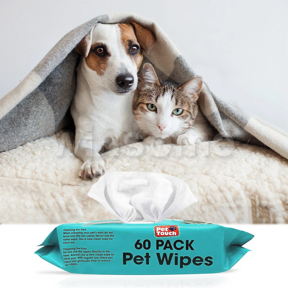 Pet wet cheap wipes