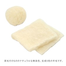 Hamanaka Felting Needle Wool Roving, Undyed Natural Ecru  - Direct from JAPAN -