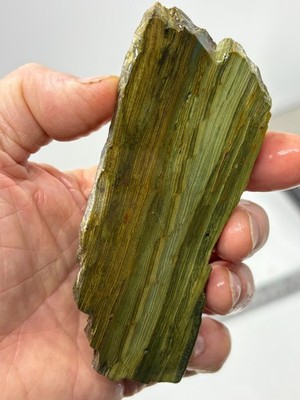Gary Green Caldera Freedom Jasper Slab Cabbing Lapidary Combo Ship Avail