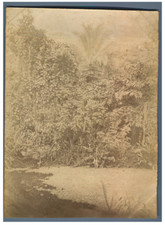 Congo français, Paysage Vintage albumen print Tirage albuminé 12x17 Ci