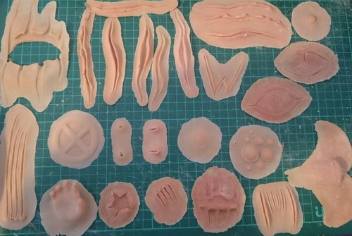 Item image in prosthetic sets