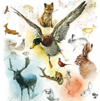 20 StüCk Lunch Servietten 33X33 Cm Wildtiere Ente Reh Hase Fuchs Jagd Wald Neu