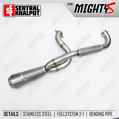 1999-2023 Harley-Davidson Road King Custom Komplettanlage Auspuff 2 in 1