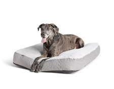 PETSM  RT Top Paw  Orthopedic Memory Foam Quilt Mattress Dog Bed