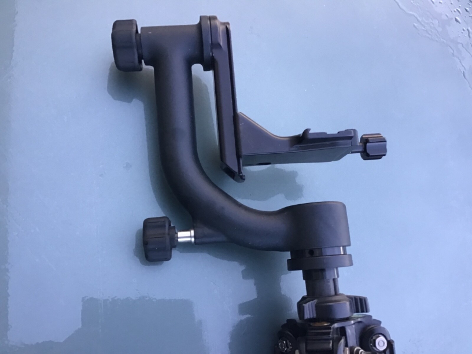 Wimberley WH200 Version II Gimbal Head & Induro Carbon 8X C214 Tripod