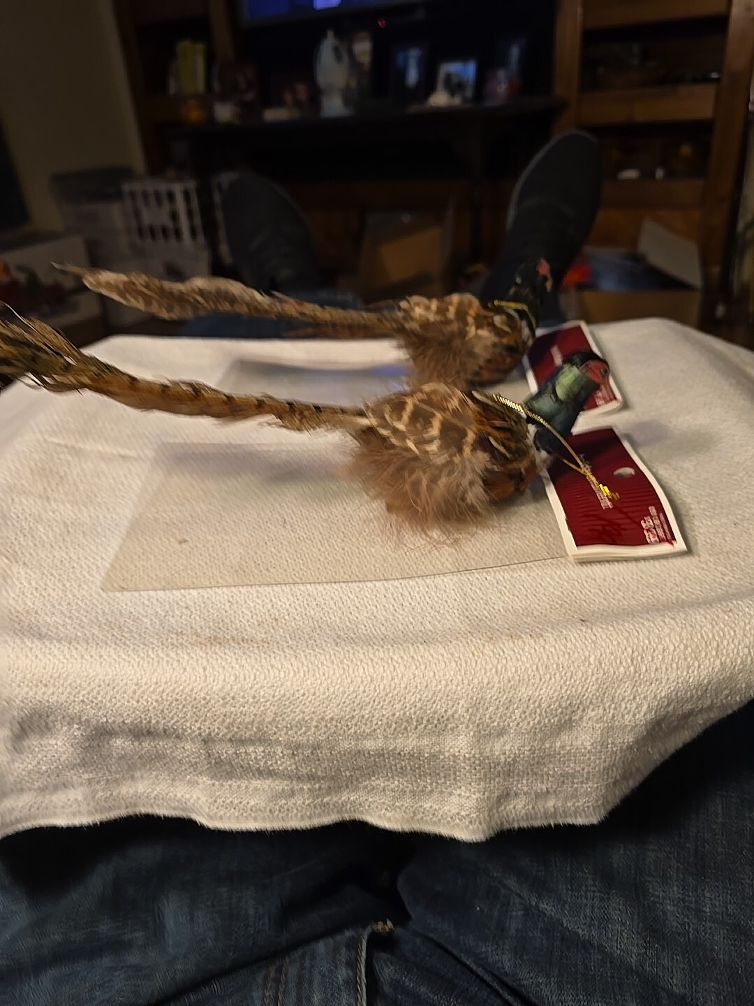 Picture 6 of 7