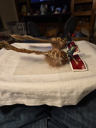 Rooster Pheasant Hanging/Clip On Christmas Tree Ornament Hallmark Real Feathers - Picture 6 of 7