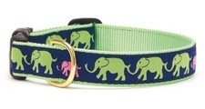 Up Country Dog Collar, Leader Of Pack, Elephants, Made In USA, XS 7-11" 5/8"