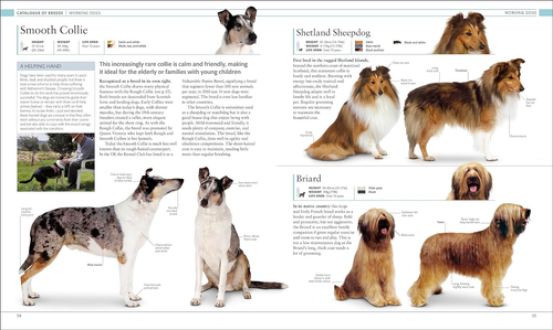The Dog Encyclopedia: the Definitive Visual Guide - Picture 5 of 12