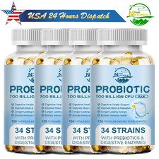 Probiotic Digestive Multi Enzymes Probiotics For Adult Digestive Health Capsules
