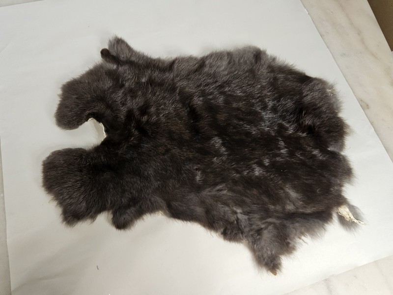 Real Skin Natural Brown Rabbit, Real Fur Leather Animal, 18in Length 