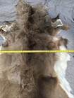 No Reserve WHITETAIL DEER HIDE, DEERSKIN  W/ HAIR CABIN RUG HOME DECOR 5 Ft Long — photo 2
