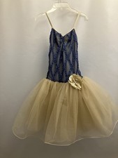 Blue And Gold Floral Romantic Tutu Child