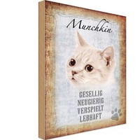 Holzschild 18X12 Cm Munchkin Katze Lebhaft Tier Haustier Deko Geschenk Holz Schi