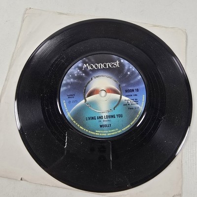 Woolly Sunshine Souvenirs / Living And Loving You Vinyl 7'' Single 1973 VG+