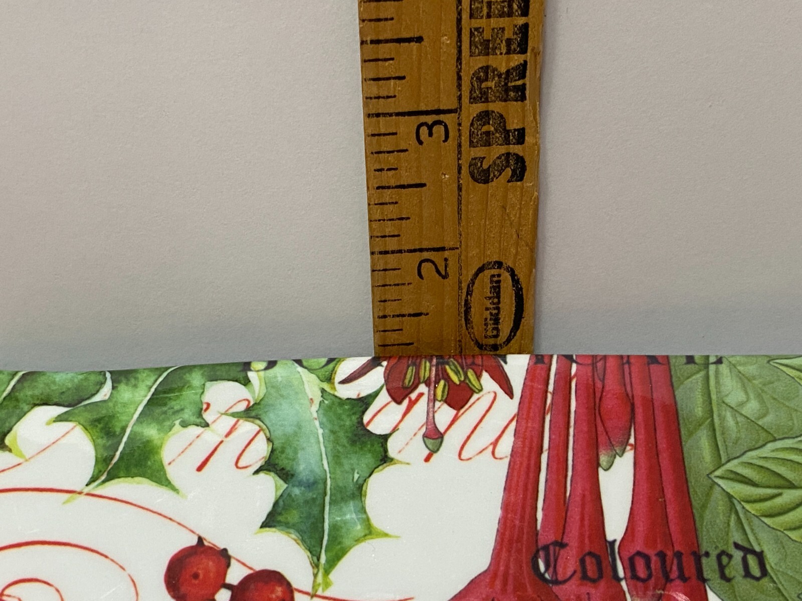 Picture 11 of 12