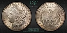 1897 S MORGAN SILVER DOLLAR FRESH CAC GRADE AU55 BEAUTIFUL COIN 🔥🔥🔥