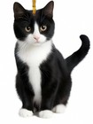 Black And White Tuxedo Cat Keychain Acrylic Cat Pendant...