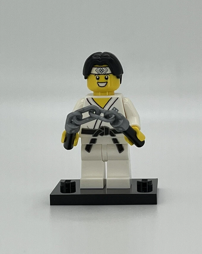 Lego karate 2025