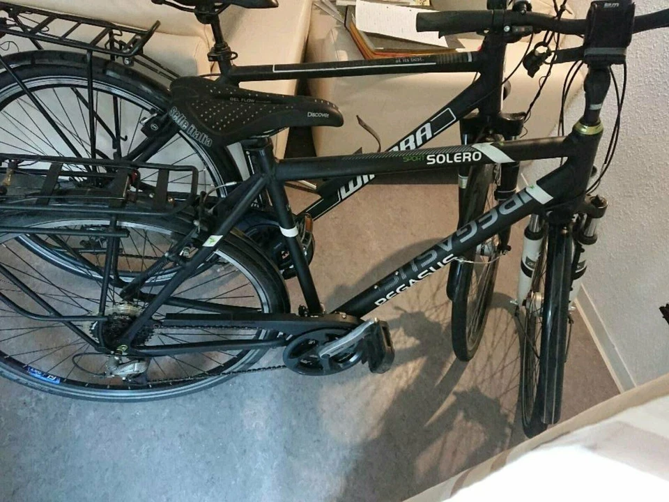 Trekkingrad Trekking Fahrrad der Marke Pegasus Solero