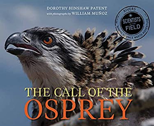 Call of the Osprey Hardcover Dorothy Hinshaw Patent