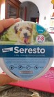 Foto 4 di 5