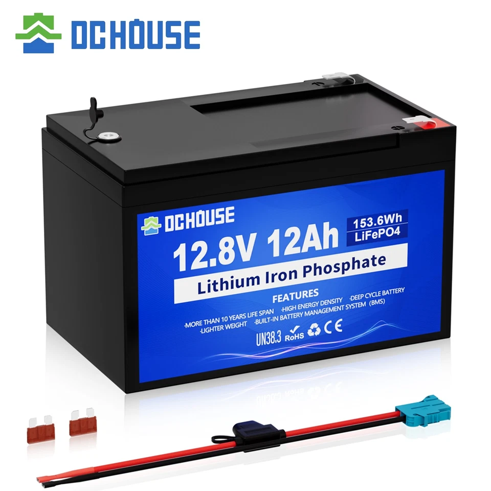 Batteria LiFePO4 12V/24V/48V 6Ah 30Ah 50Ah 100Ah 200Ah Batteria al litio BMS RV - Immagine 3 di 4