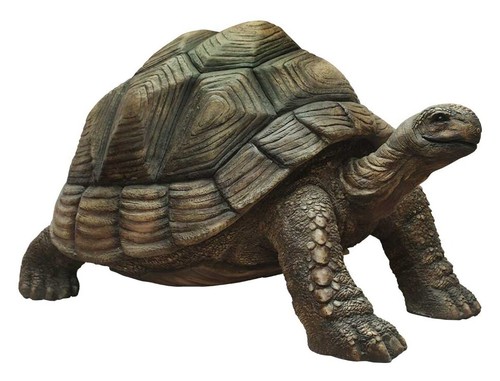 Turtle Statue Large Realistic Life Size Galapagos Indoors Outdoors Sculpture