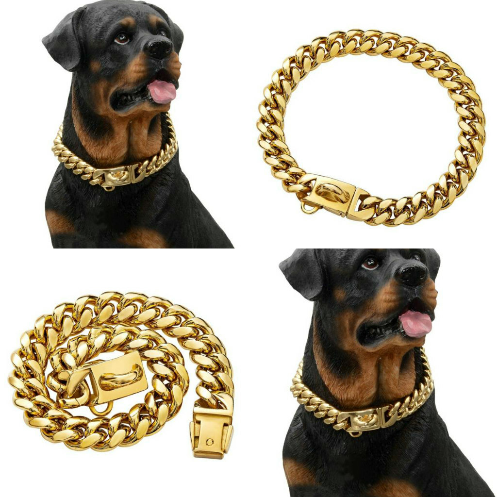 Gold Dog Collar Solid Stainless Steel Dog Choke Large Pet Outdoor