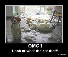 Funny Beagle  refrigerator magnet 3 1/2 x 4 "