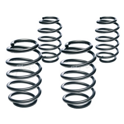 Eibach 0950.500.1050 Single Speedway Front Coil Spring – ShockWarehouse - View #11