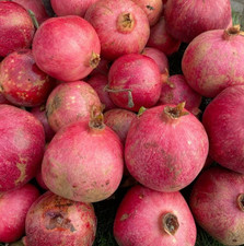 Parfianka Pink Pomegranate Seedss - 100 pcs  Punica granatum  for Planting
