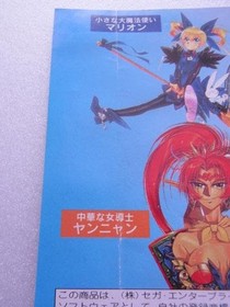 Jacket only SS Sega Saturn Gunbird back cover only #8323fd