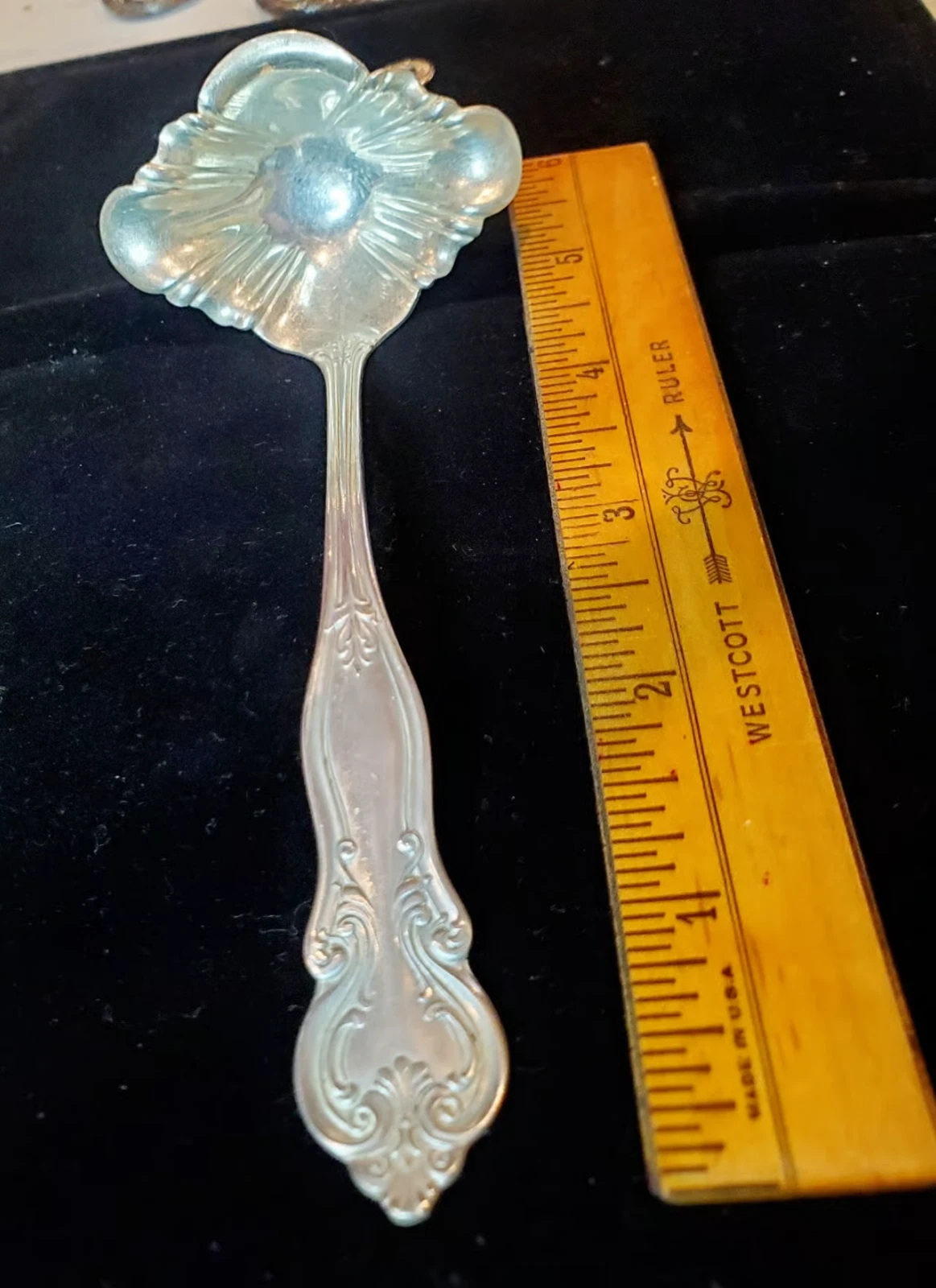 SILVER CREAM 1906 Ladil
Opens in a new window or tab