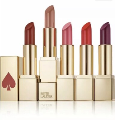 新品 ESTEE LAUDER Pure Color Envy 口紅 3本セット ESTEE LAUDER LIMITED EDITION 5 PCS ONE OF A KIND PURE COLOR ENVY