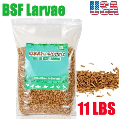 LUCKYQWORMS Premium Dried Black Soldier Fly Larvae for Chickens Reptiles More Calcium 11LBS