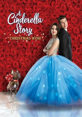 Cinderella Story, A Christmas Wish DVD  NEW