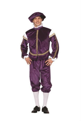 RENAISSANCE PRINCE ROYAL KING ADULT MENS MALE SHAKESPEARE ROMEO COSTUME PURPLE  - Picture 1 of 1