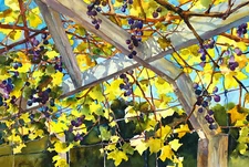 BEAUTIFUL! Linda Henry ORIGINAL WATERCOLOR 15"x22" - Summertime Grapevine Arbor 