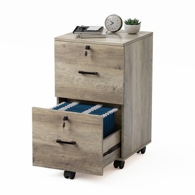 2-Drawer Lockable File Cabinet with Full Extension Drawer Slides Removable Wheel