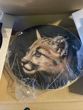 Princeton Gallery ltd ed fine porcelain plate - Cubs of the Big Cats - Cougar