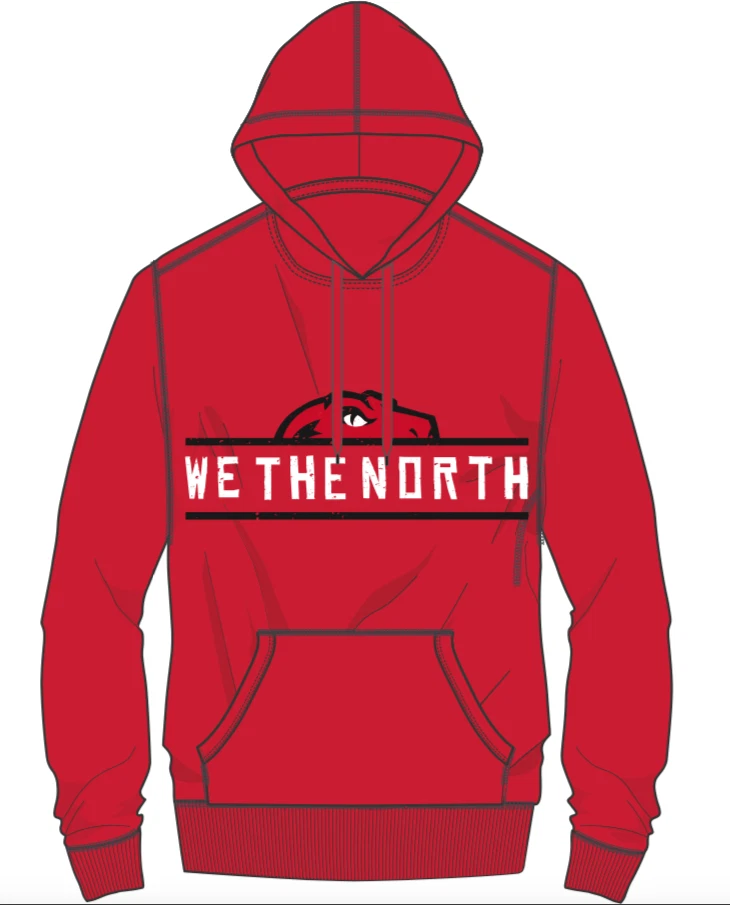 toronto raptors hoodie mitchell and ness