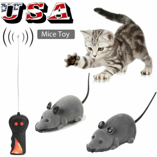 rc mouse for cats