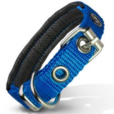 Filbert Cat Collar, Soft to the Touch Kitten Collar with Bell, Adjustable