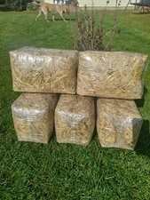 2 x Mini straw bales
