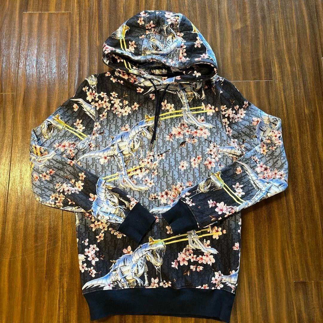 Dior x Hajime Sorayama Collaboration Hoodie Dinosaur Menu0026#039;s XS from  Japan | eBay