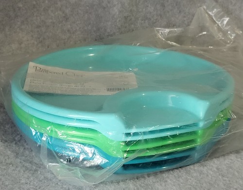 Set of 6 Pampered Chef Plates 10" Outdoor Plastic Party Picnic Blue & Green New - Picture 4 of 8