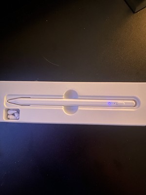 iPad Stylus Pen pick up only 