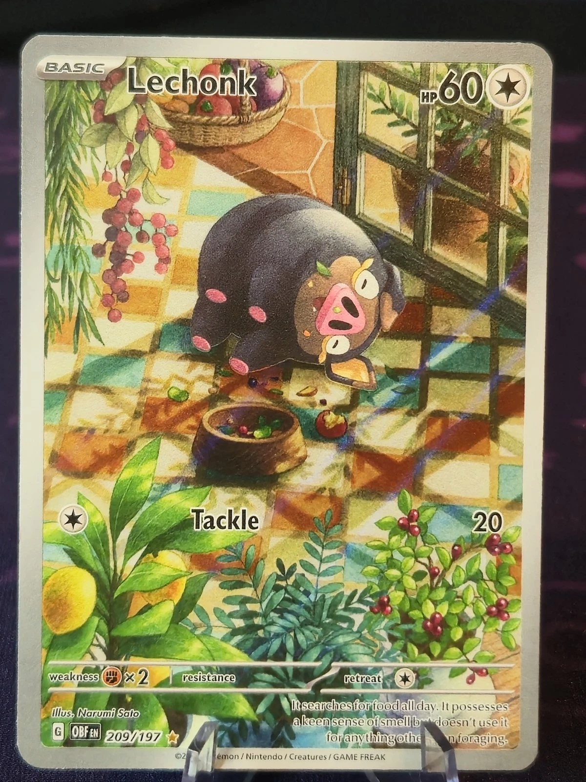 Lechonk 209/197 Sv03: Obsidian Flames Holo Illustration Rare IR