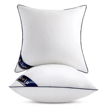 Siluvia 22"x22" Pillow Insert Set of 2 Square Throw 22 Pillows with 100% Cott...